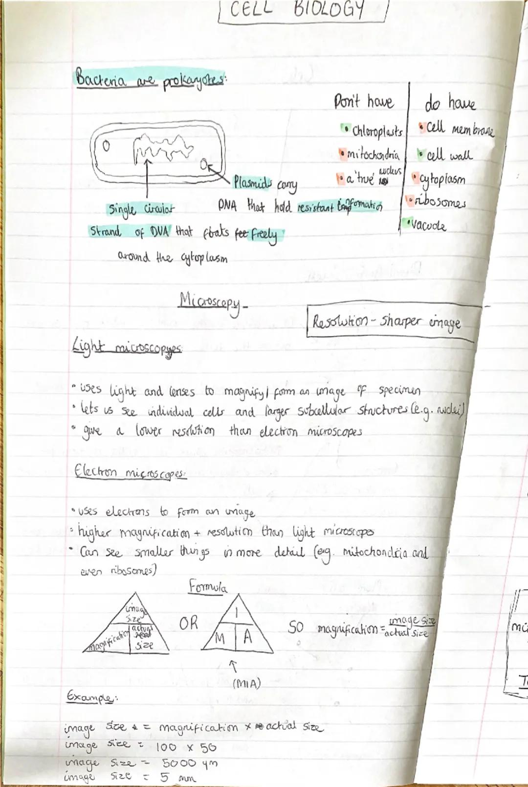 CELL BIOLOGY
Prokaryotes
• Smaller and simpler
•eg. bacteria
Cells
made up of prokaryotic alls
Eukaryotes
•Complex
all animal and plant cell