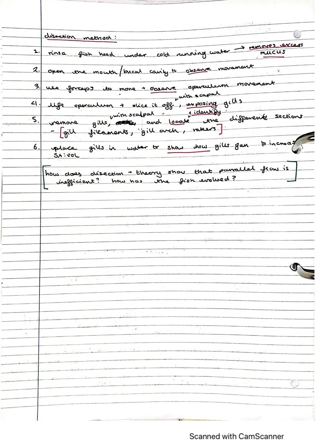 Exchange Surfaces and Respiratory Systems
24.01.2023
Exchange surfaces
An exchange surface is a specialised area that makes it easier for mo