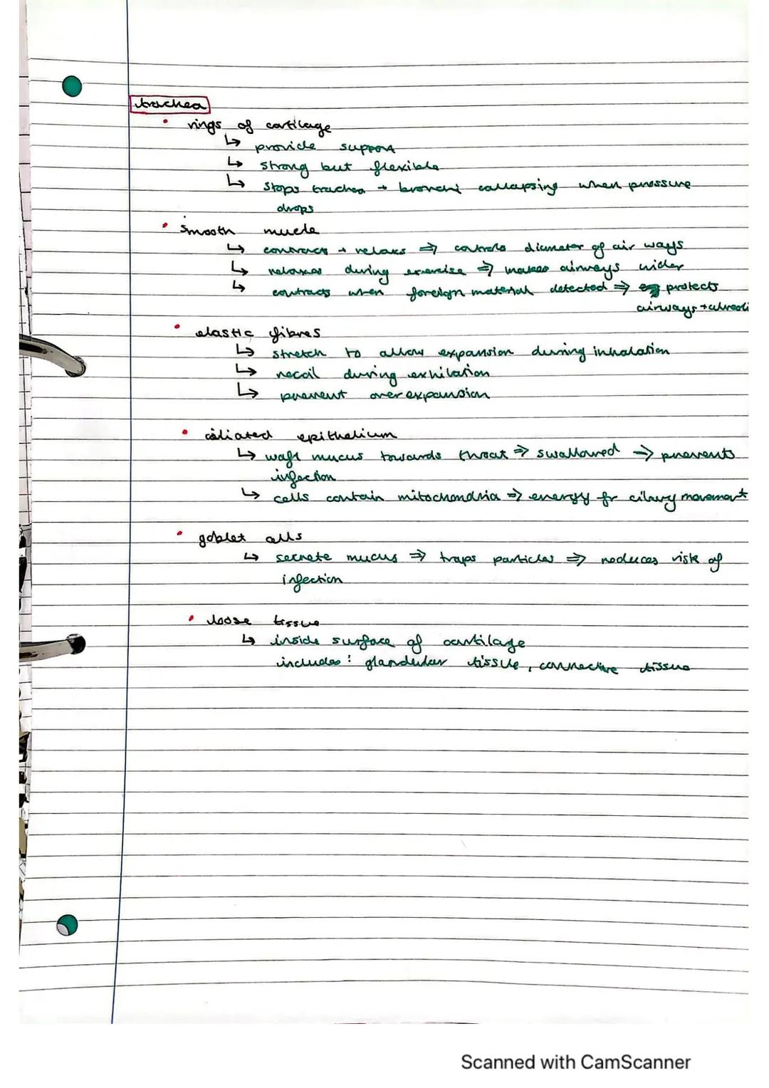 Exchange Surfaces and Respiratory Systems
24.01.2023
Exchange surfaces
An exchange surface is a specialised area that makes it easier for mo