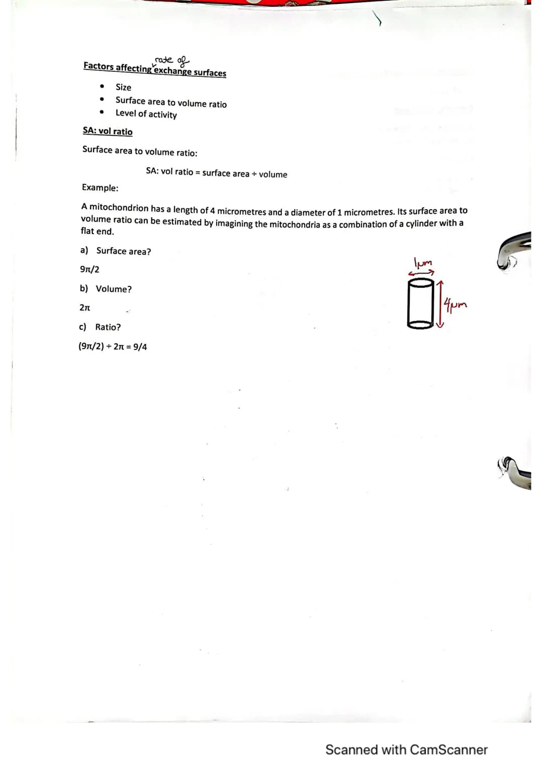 Exchange Surfaces and Respiratory Systems
24.01.2023
Exchange surfaces
An exchange surface is a specialised area that makes it easier for mo