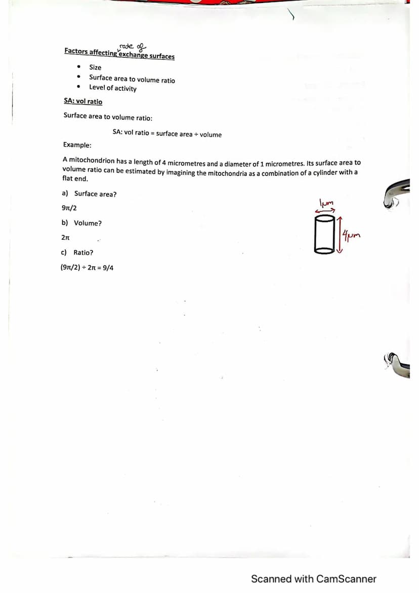 Exchange Surfaces and Respiratory Systems
24.01.2023
Exchange surfaces
An exchange surface is a specialised area that makes it easier for mo