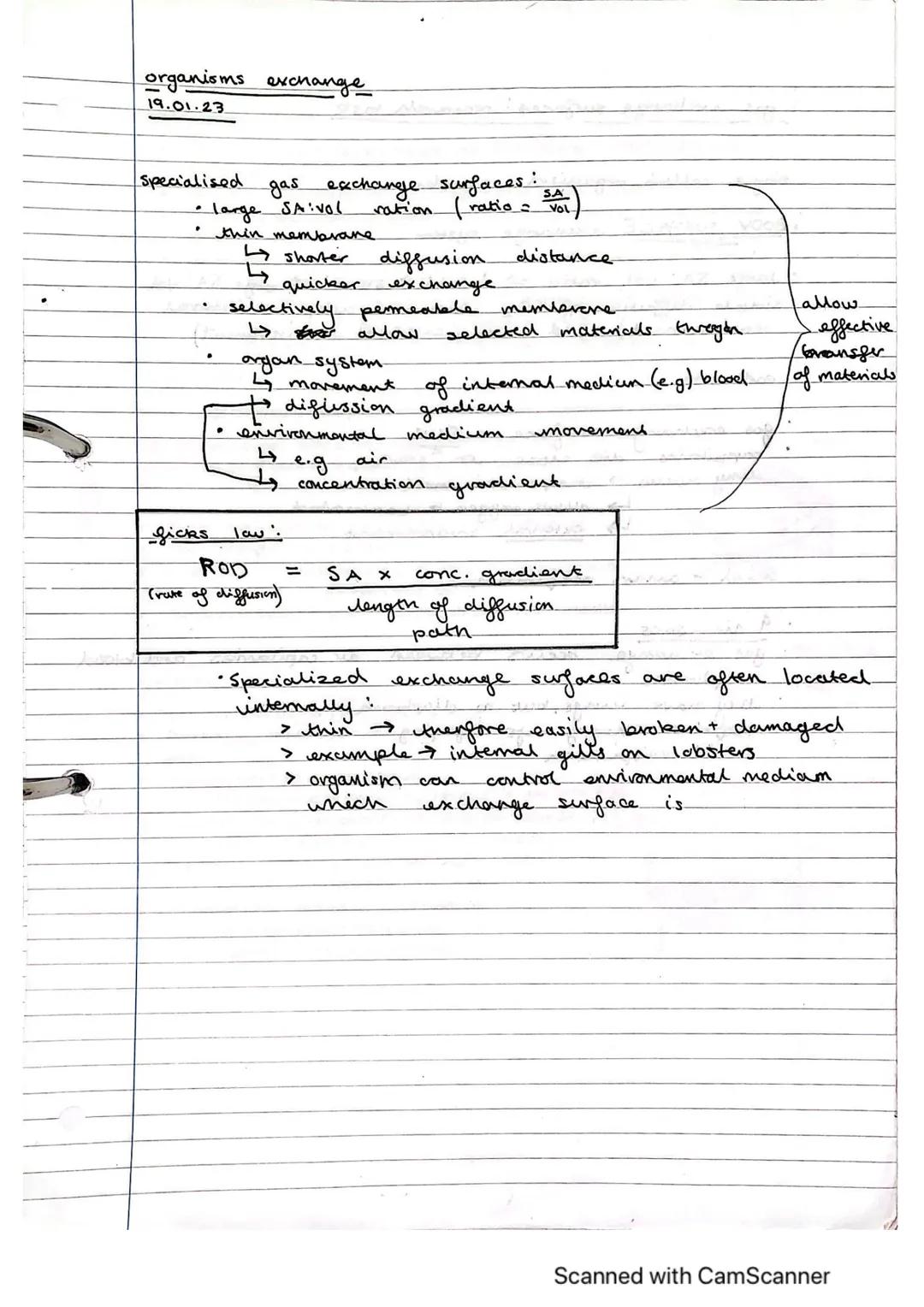 Exchange Surfaces and Respiratory Systems
24.01.2023
Exchange surfaces
An exchange surface is a specialised area that makes it easier for mo