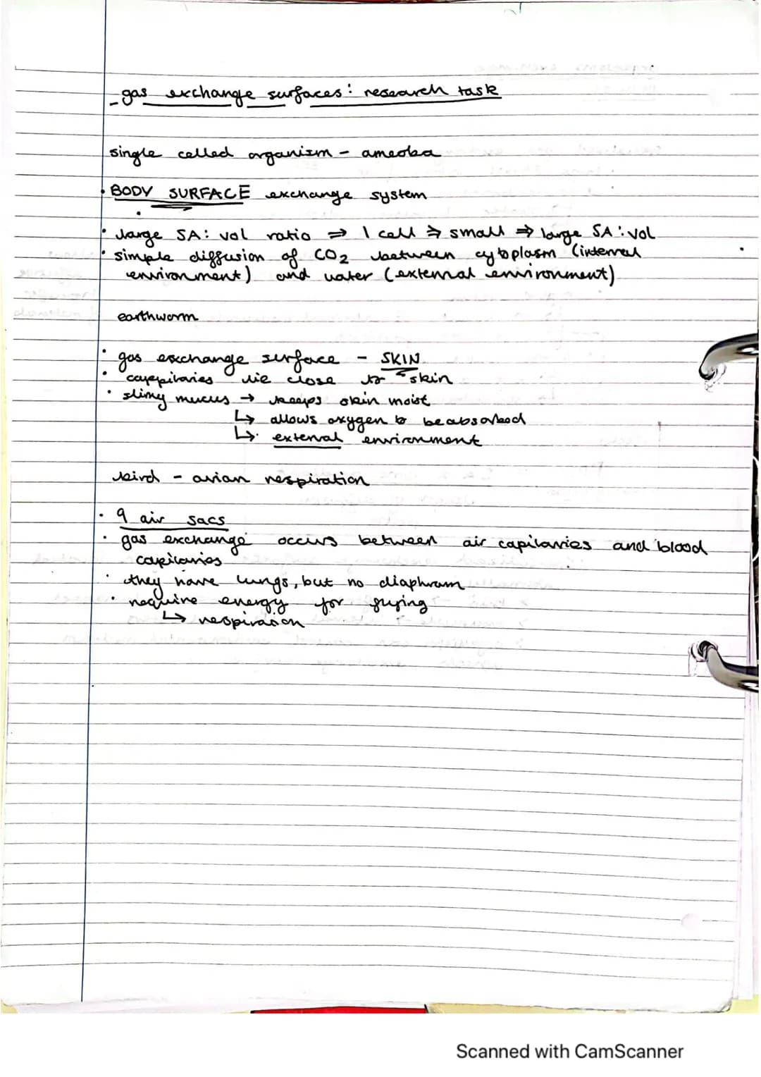 Exchange Surfaces and Respiratory Systems
24.01.2023
Exchange surfaces
An exchange surface is a specialised area that makes it easier for mo