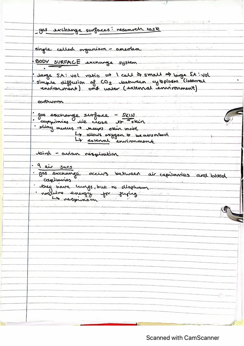 Exchange Surfaces and Respiratory Systems
24.01.2023
Exchange surfaces
An exchange surface is a specialised area that makes it easier for mo