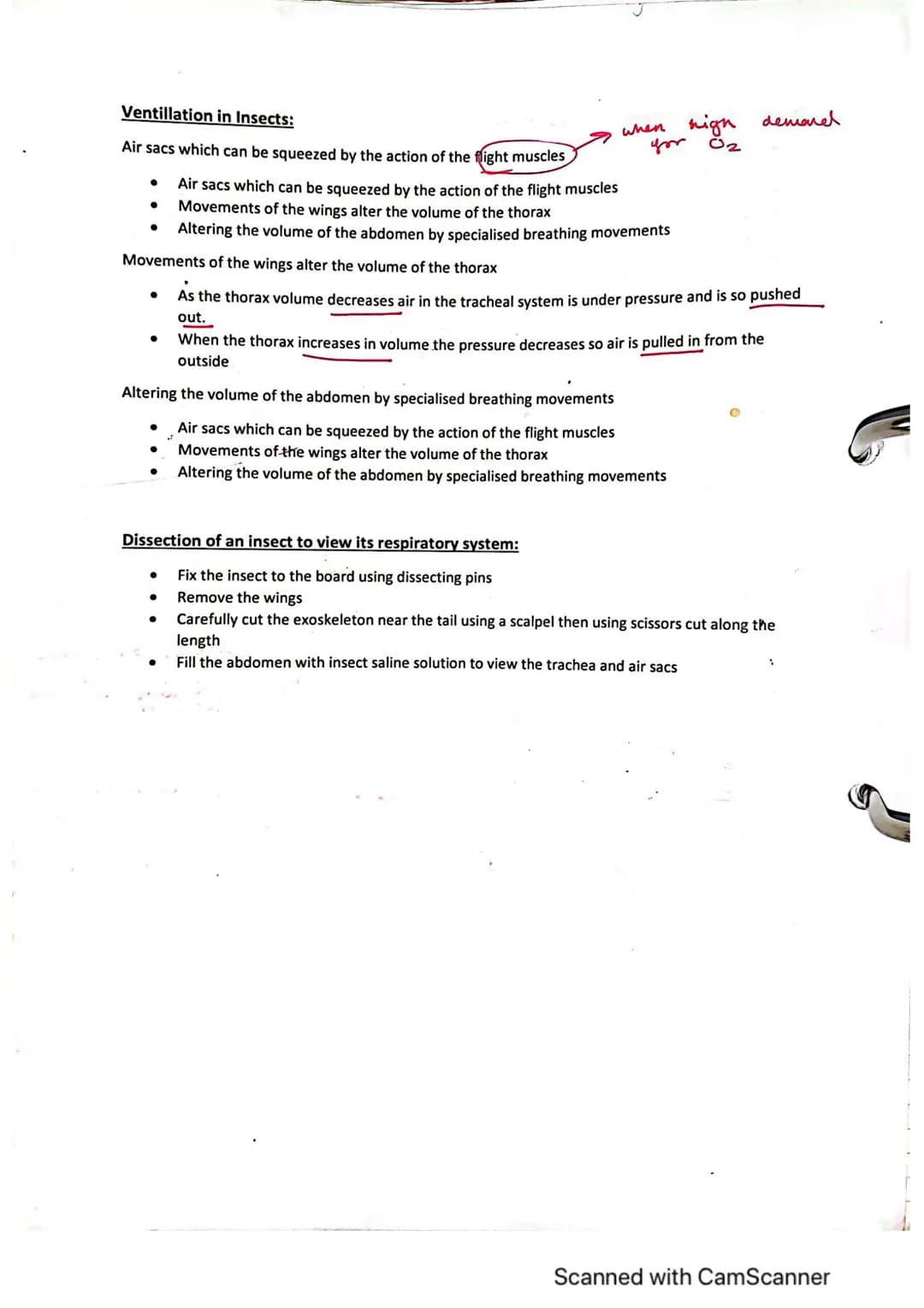 Exchange Surfaces and Respiratory Systems
24.01.2023
Exchange surfaces
An exchange surface is a specialised area that makes it easier for mo