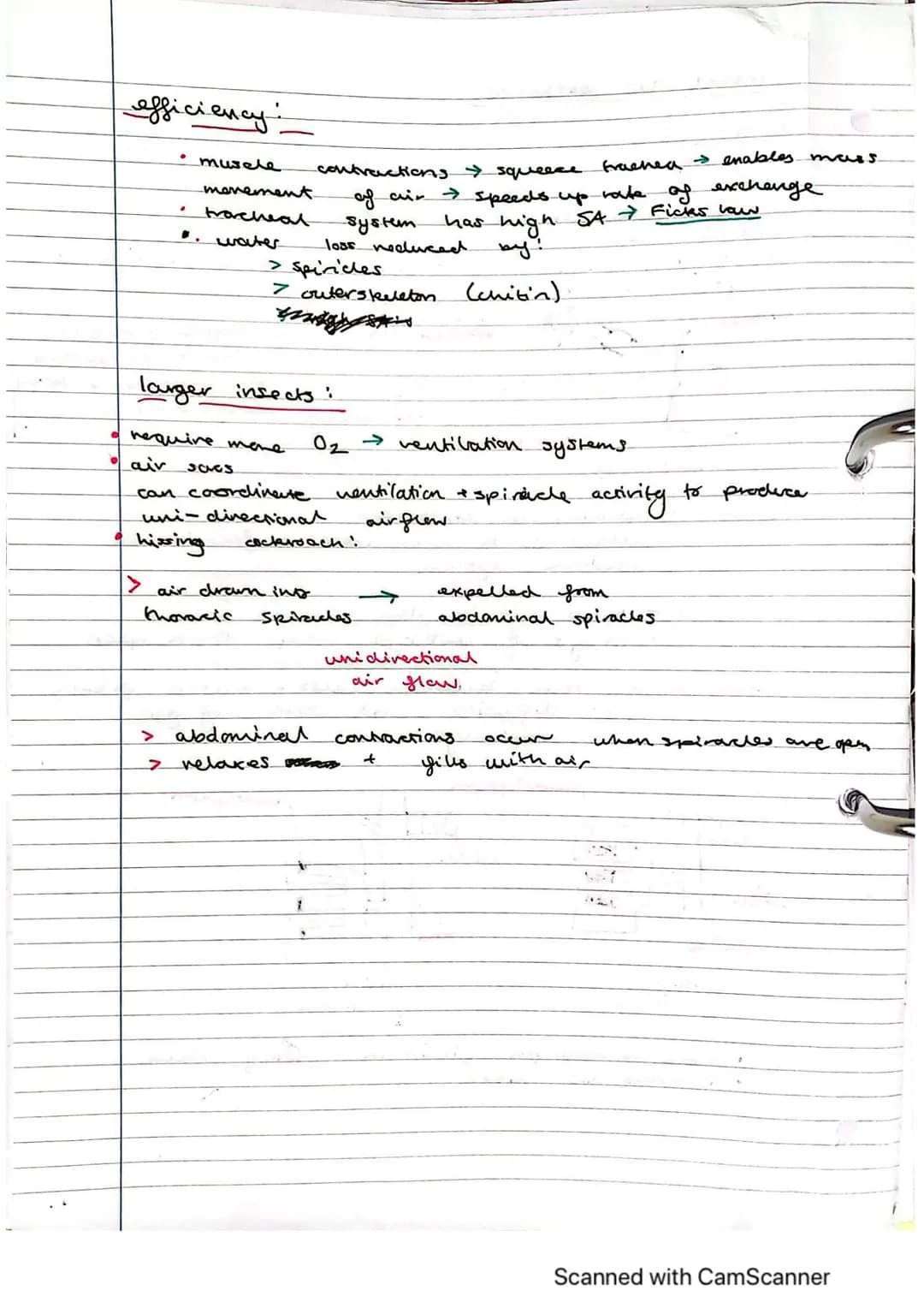 Exchange Surfaces and Respiratory Systems
24.01.2023
Exchange surfaces
An exchange surface is a specialised area that makes it easier for mo