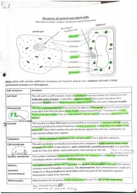 Know Biology Summer Exam thumbnail