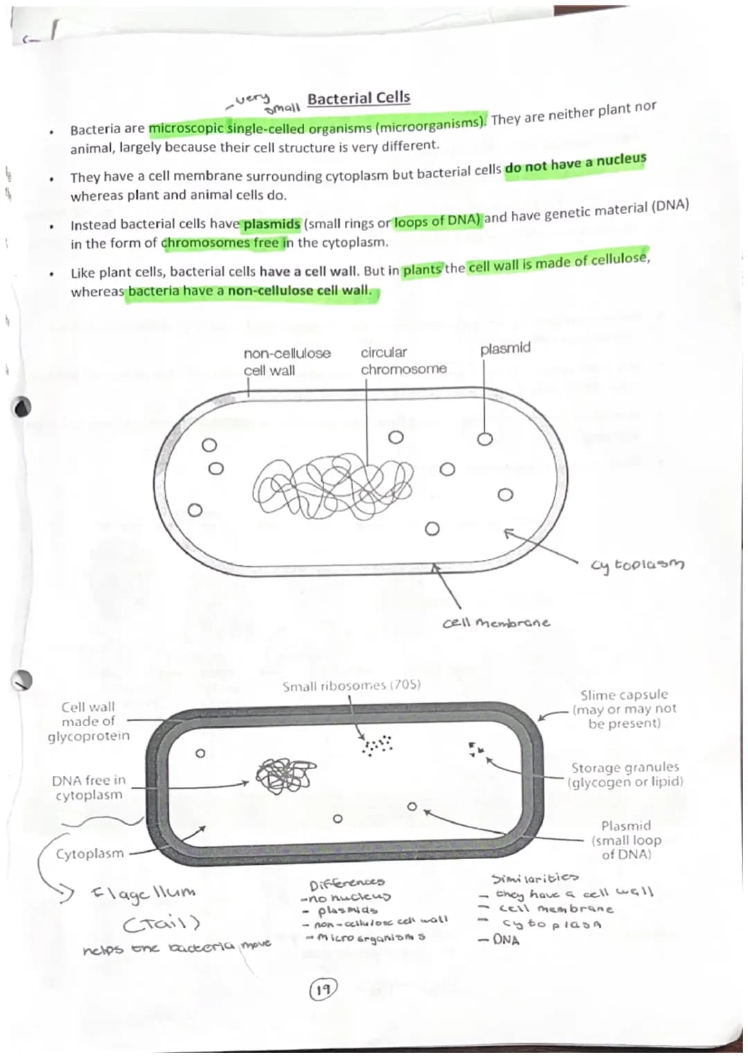 Gond
10
Cell structure
Cell Wall
Chloroplasts
Vacuole
Cytoplasm
Cell membrane
Note: plant cells contain additional structures not found in a