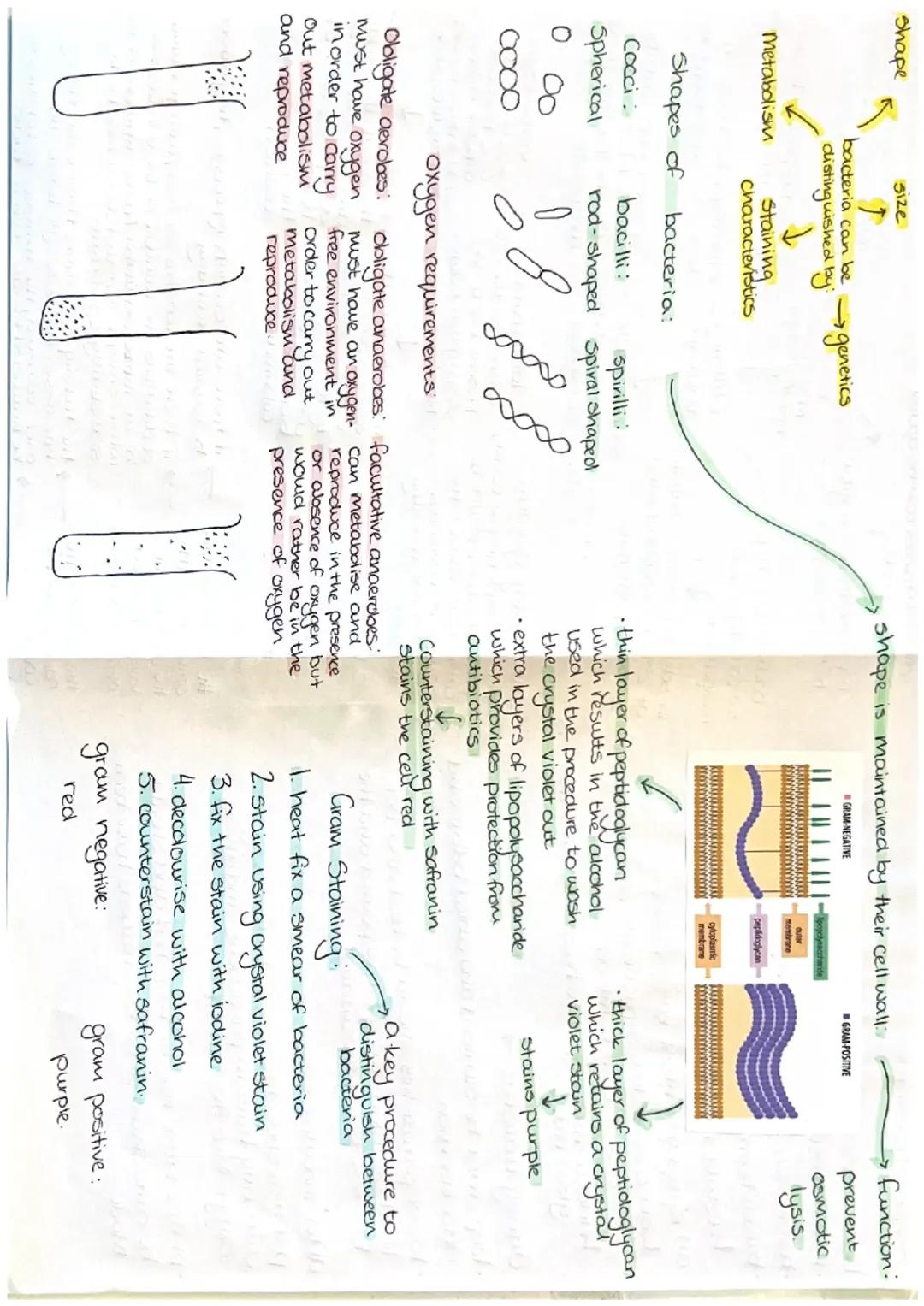 WJEC A Level Biology Unit 3.4