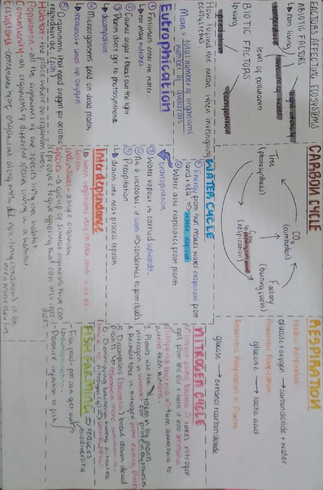 Biology: Ecosystems & Material Cycles