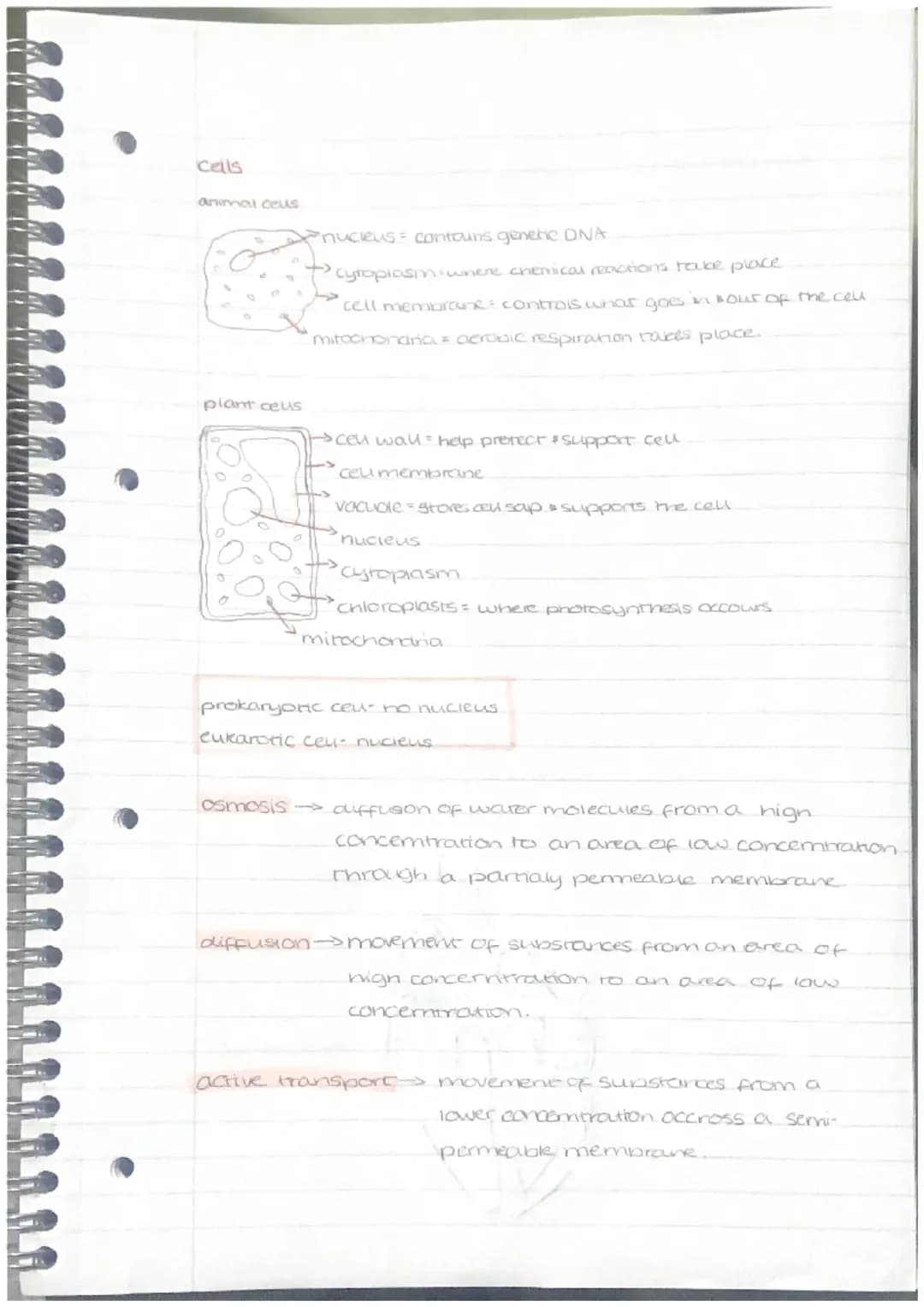 biology paper one notes 