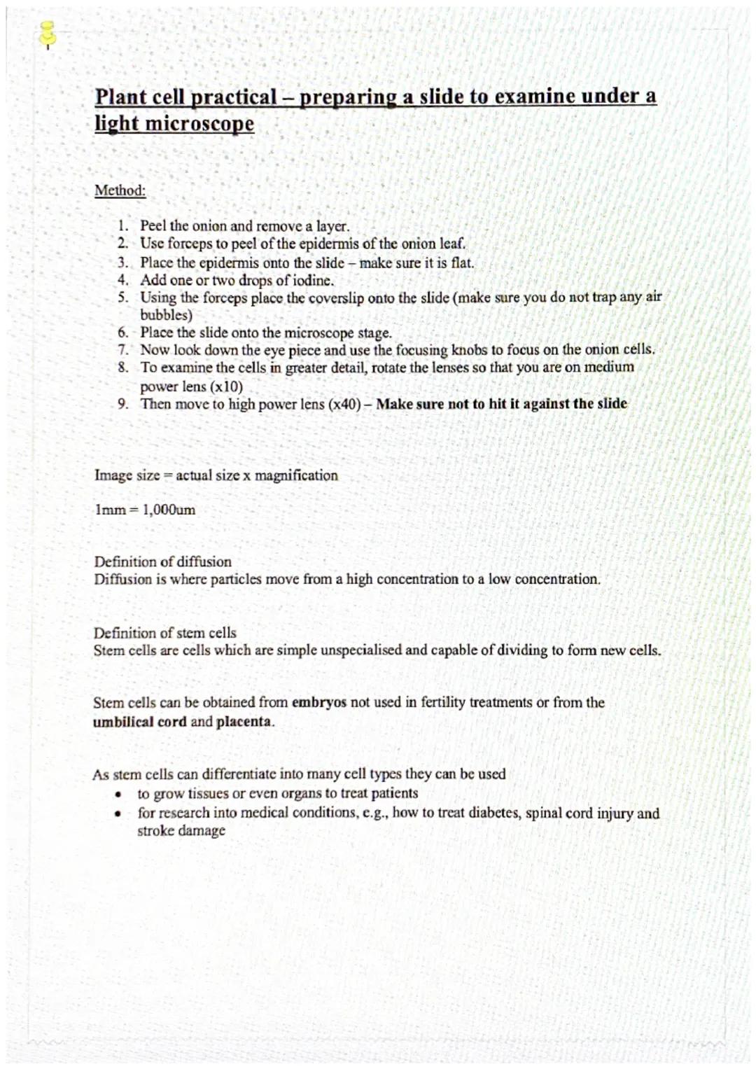 02-

Cells

GCSE Biology

ANIMAL CELL

Cell wall

Cell membrane

Ribosomes

Nucleus

Vacuole

Cytoplasm

Mitochondria

Chloroplast

PLANT CE