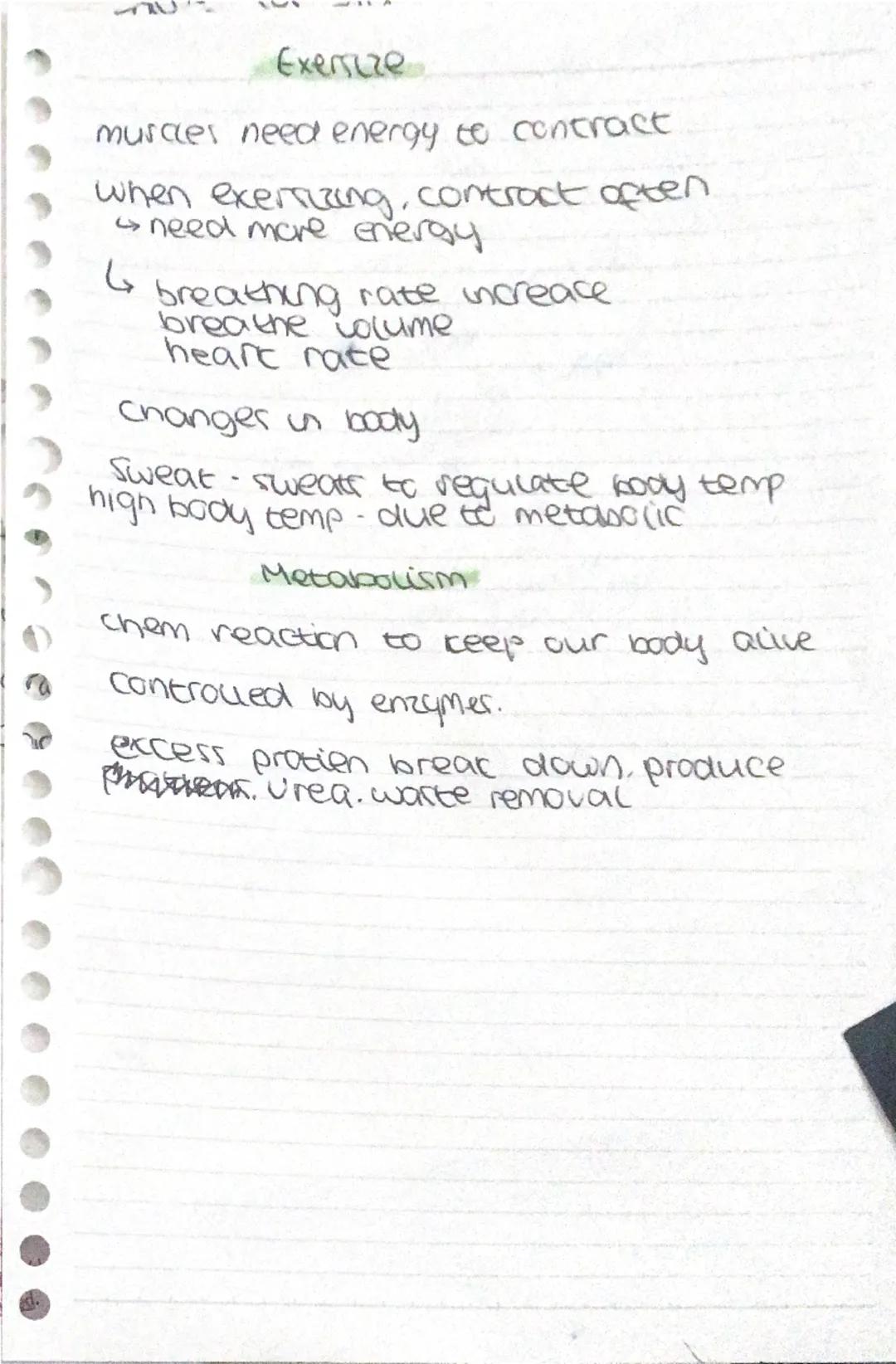 Bioenergetics
Photosynthesis
6002+6420 +C6H1206+602
carbon aloxide + water →
light
onical glucose + oxygen
спістор
endothermic reaction, ene
