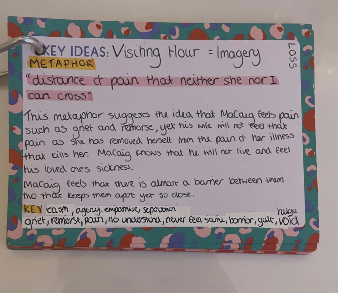 Exploring 'Visiting Hour' and More: Fun with Norman MacCaig Poems