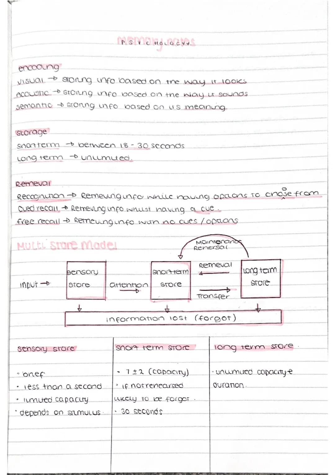 GCSE PSYCHOLOGY PAPER 1 - MEMORY 