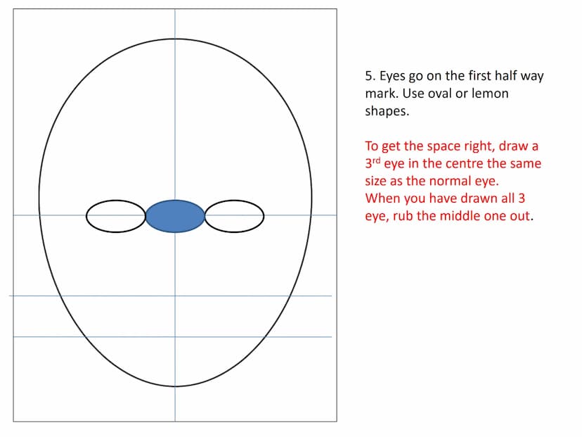Drawing a human face
Practise exercises for you to do at
home 1.draw an upside down egg
shape. 2. Divide the face into quarters
3. Divide th
