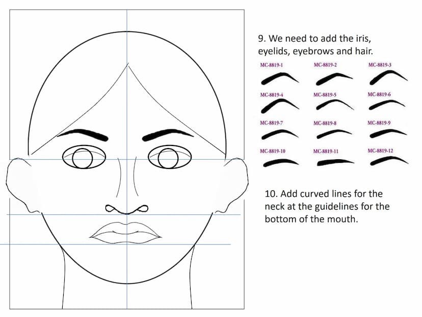 Drawing a human face
Practise exercises for you to do at
home 1.draw an upside down egg
shape. 2. Divide the face into quarters
3. Divide th