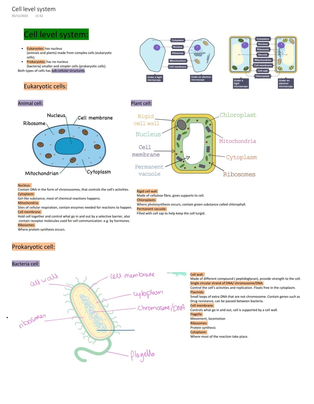 cell level system