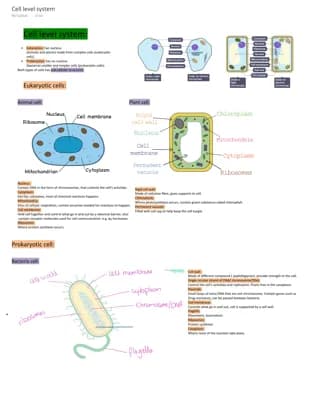 Know cell level system thumbnail
