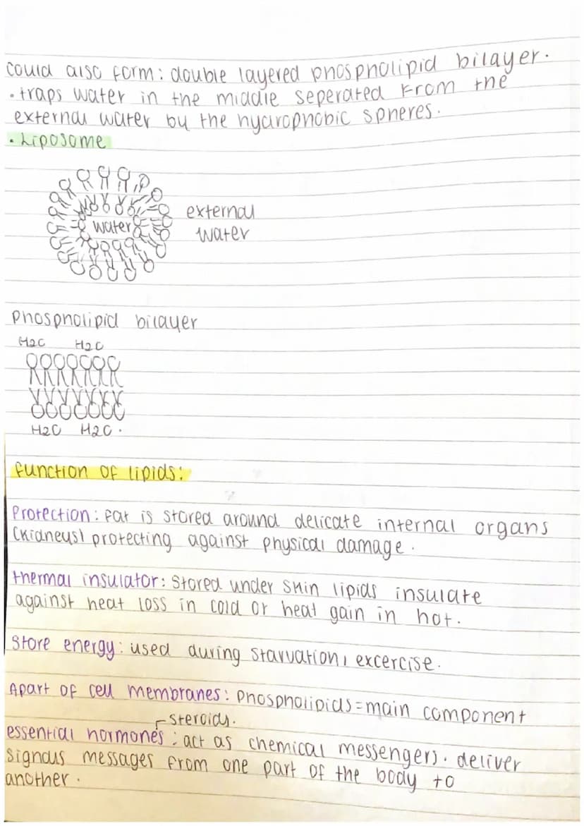 Proteins:
-polymers whose molecules are made from many.
amino acids -joined together. /several polypeptide chains
amino acid:
amino
[FL
H
gr