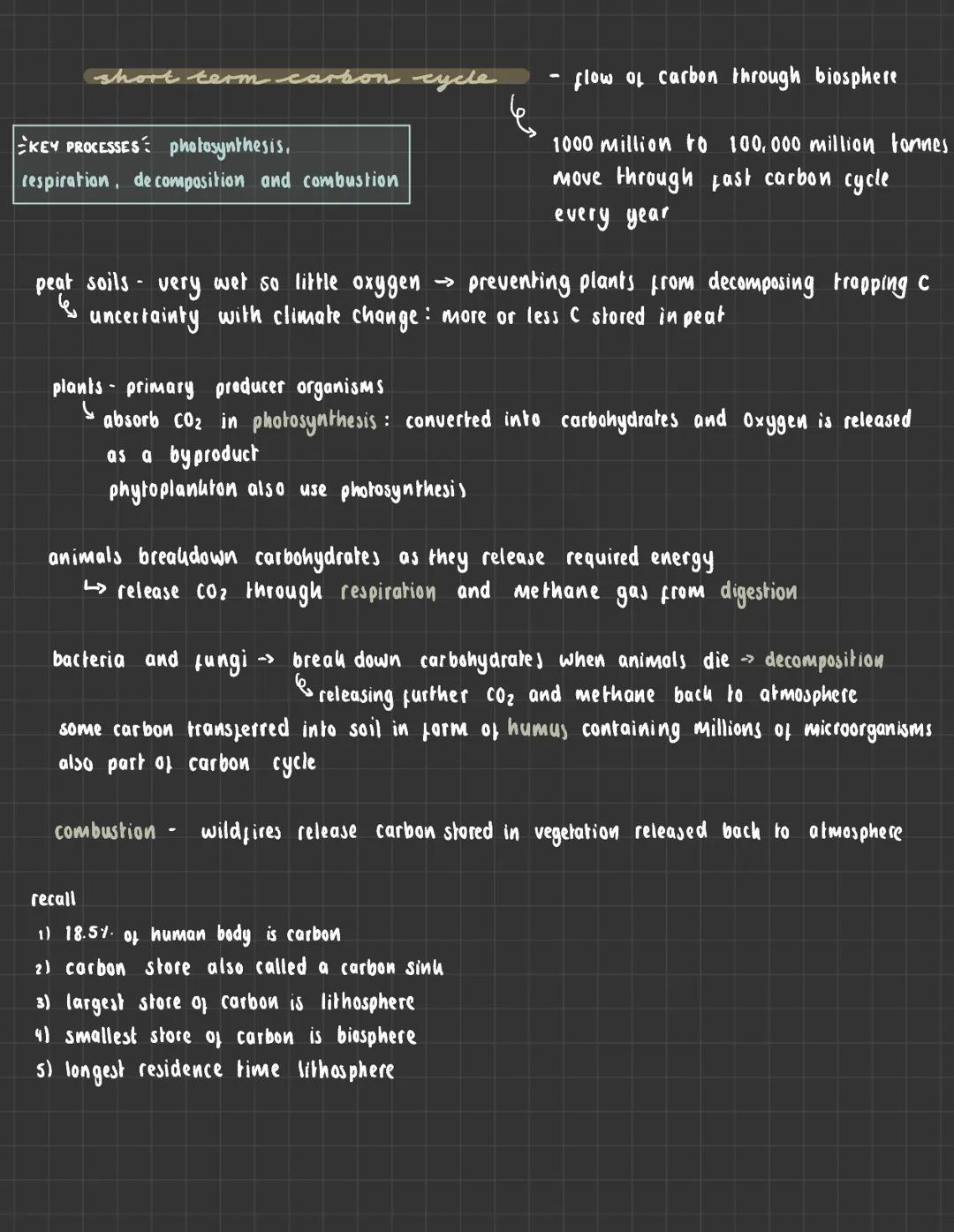 Burning
fossil fuels
LONG SHORT TERM CARBON CYCLE
Erupting
volcano
THE CARBON CYCLE
Coal, oil, gas
stores:
.
Burning
♦
Decomposition
Soil
Re