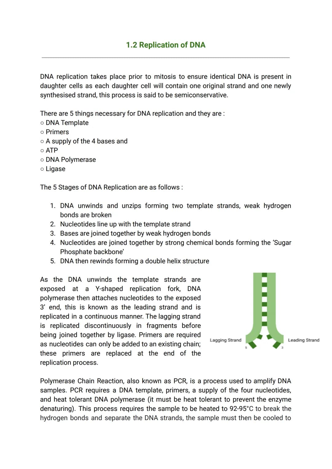 <h2 id="semiconservativednareplication">Semiconservative DNA Replication</h2>
<p>The DNA replication process is essential to ensure that dau