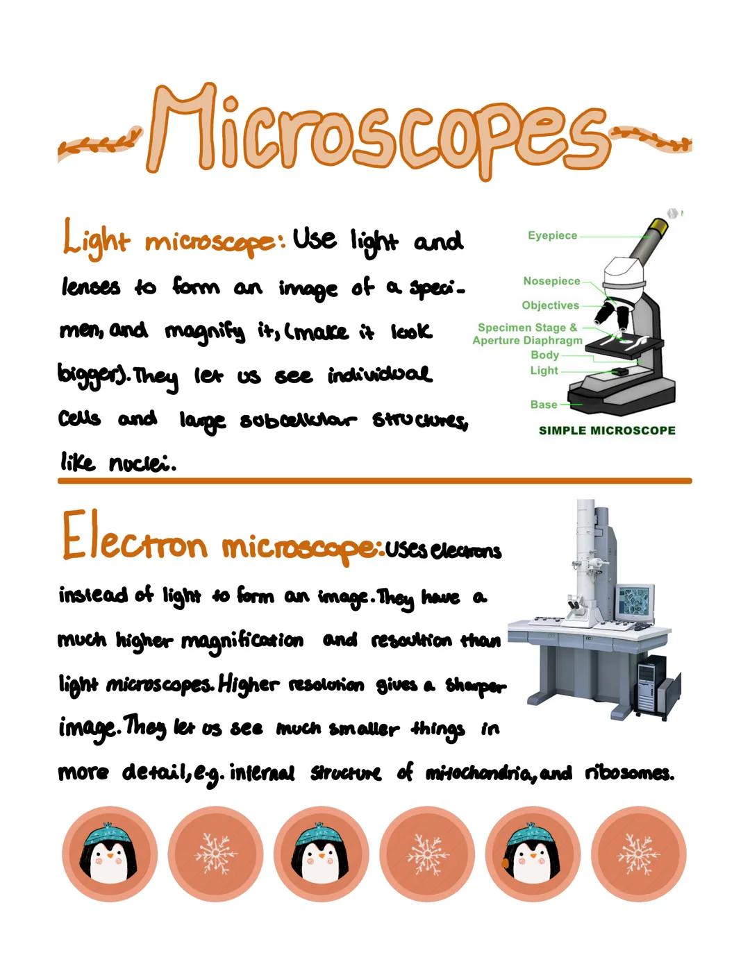 # Microscopes

Light microscope: Use light and
lenses to form an image of a speci-
men, and magnify it, (make it look
bigger). They let us s