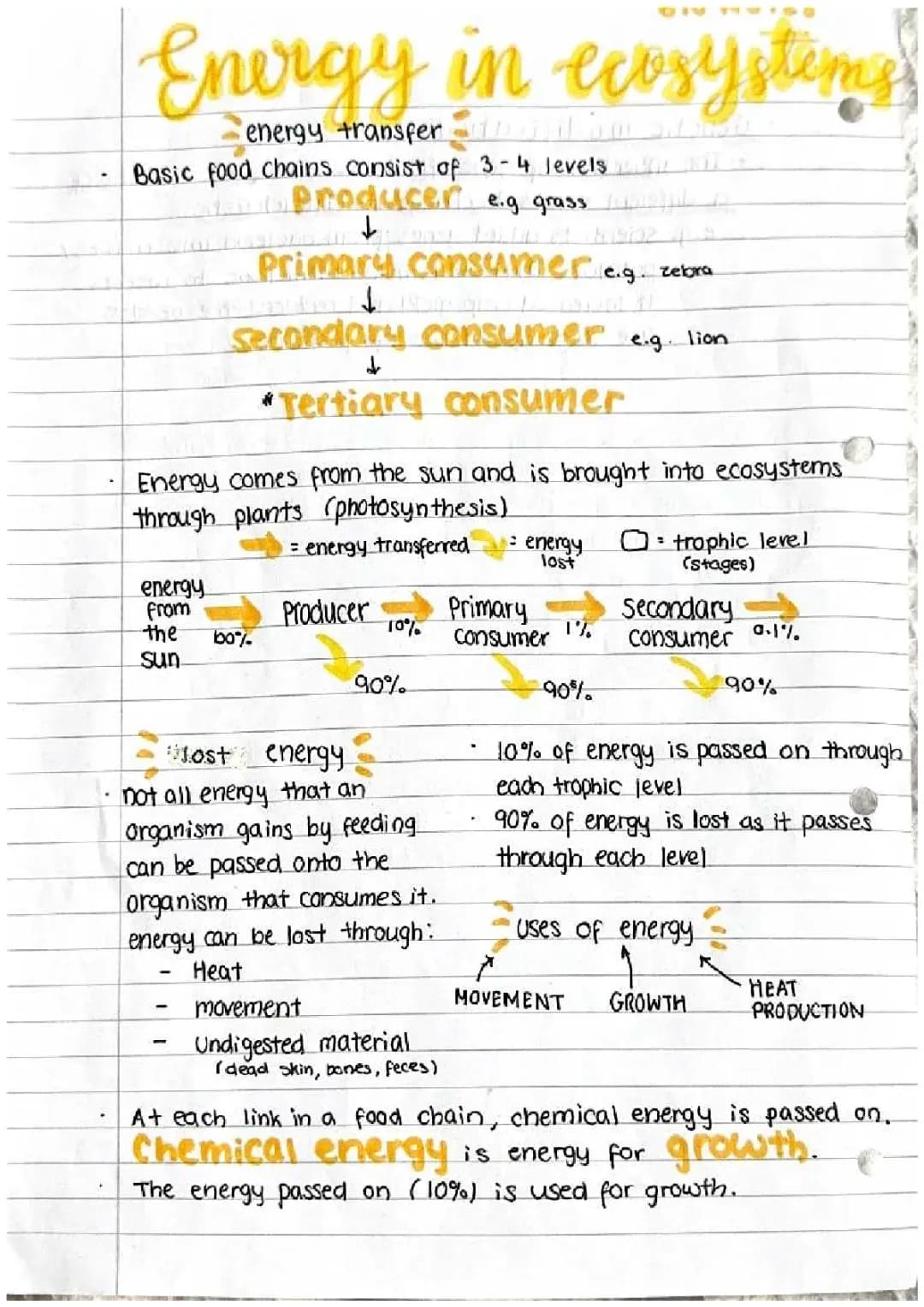 Energy in ecosystems notes