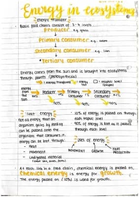 Know Energy in ecosystems notes thumbnail