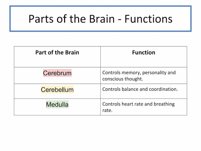 N5 Unit 2 KA2
Control and
Communication
Part a - Nervous System N5 biology course
1. Cell Biology
2.
3. Life on Earth
Multicellular Organism