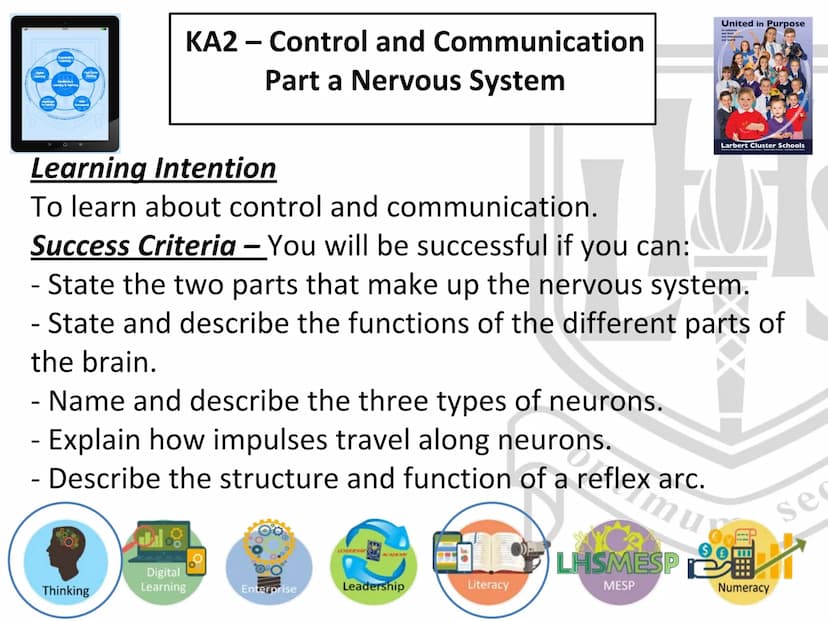 N5 Unit 2 KA2
Control and
Communication
Part a - Nervous System N5 biology course
1. Cell Biology
2.
3. Life on Earth
Multicellular Organism