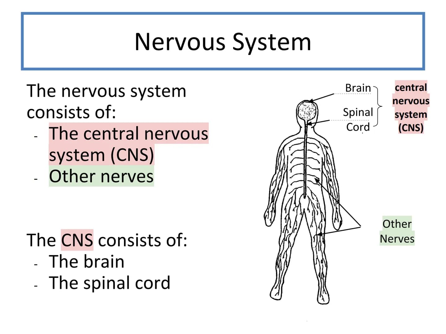 N5 Unit 2 KA2
Control and
Communication
Part a - Nervous System N5 biology course
1. Cell Biology
2.
3. Life on Earth
Multicellular Organism