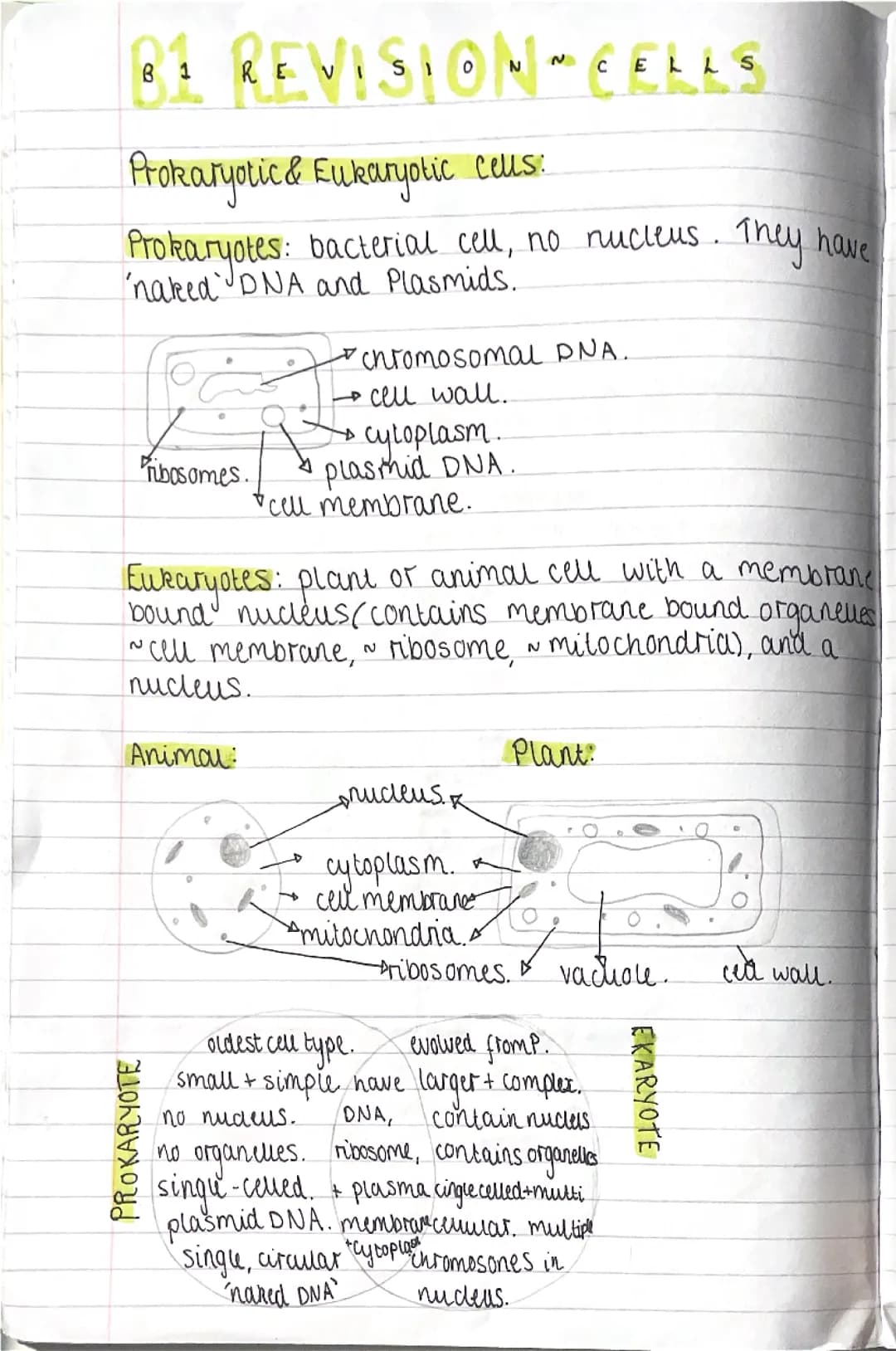 b1 aqa combined science 