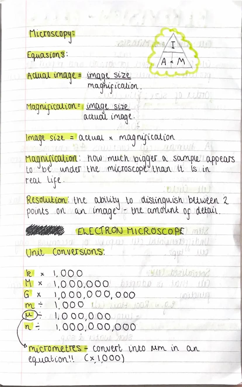 --- OCR Start ---
81 REViSiONN CELLS
0
Prokaryotic & Eukaryotic cells:
Prokaryotes: bacterial cell, no nucleus. They have
'naked' DNA and Pl