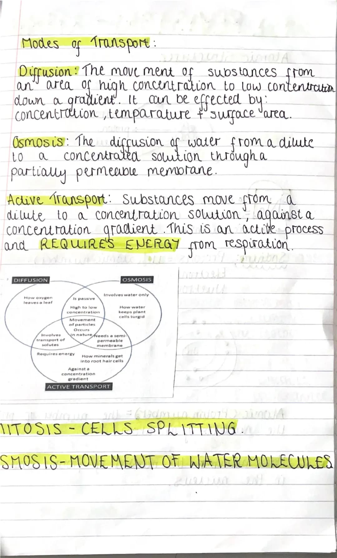--- OCR Start ---
81 REViSiONN CELLS
0
Prokaryotic & Eukaryotic cells:
Prokaryotes: bacterial cell, no nucleus. They have
'naked' DNA and Pl