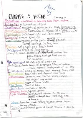 Know bone vocab  thumbnail