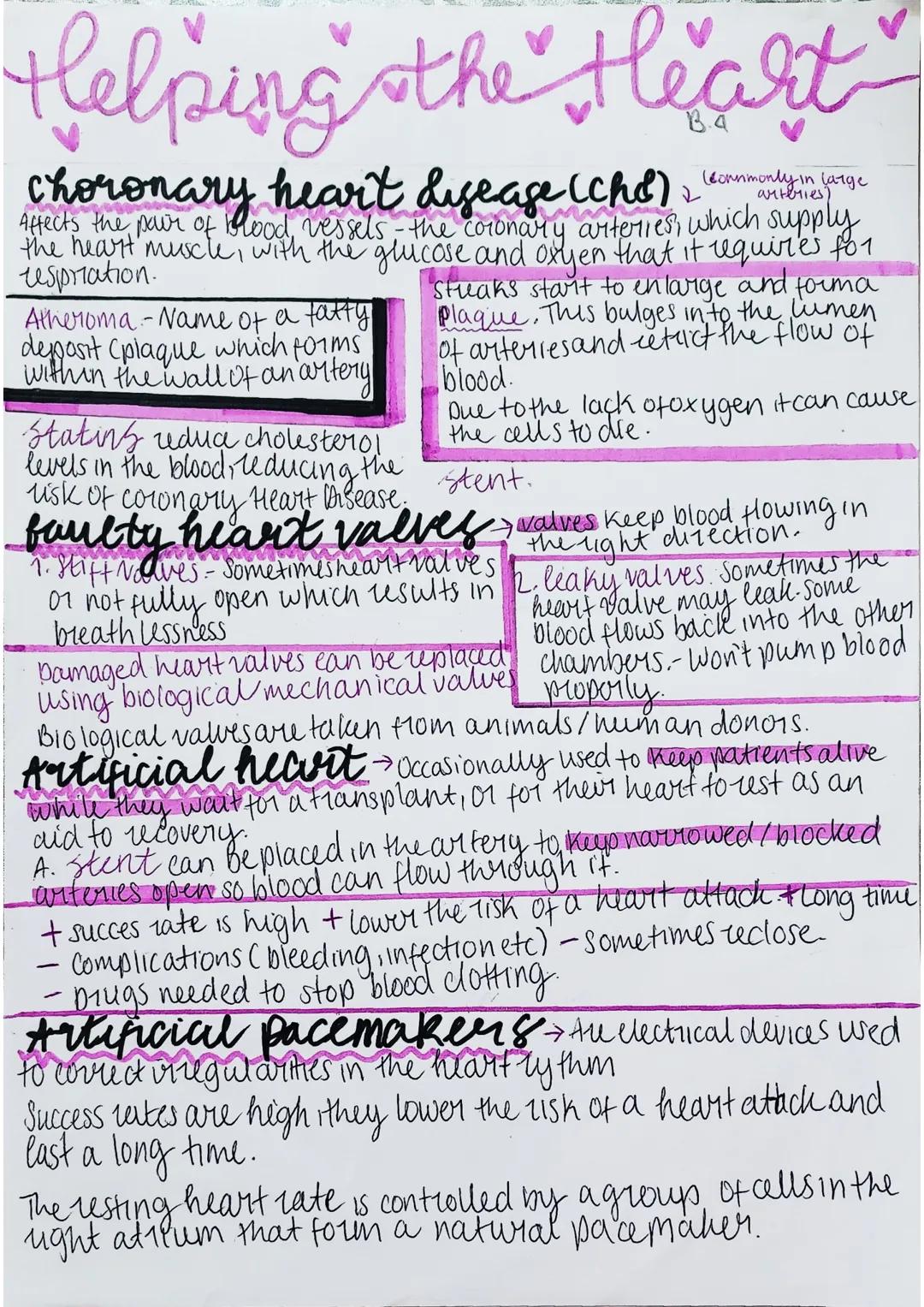 # the heart

B.4
The heart is the organ that pumps blood around your body.
Structures of the heart:
The heart has 4 chambers:
}atria (plural