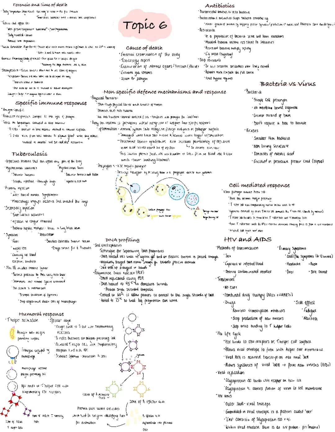 Forensic Bugs and Your Body: Cool Science and Scary Germs