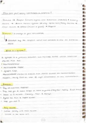 Know B3 - biology revision notes (combined) thumbnail