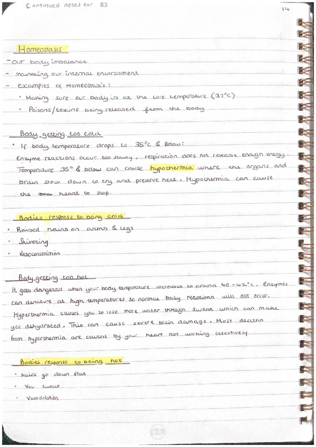 .
0
0
How does your body coordinate a response ?
Stimulus → Receptor (converts signal into electrical impuises) → sensory.
Sentral nervous s