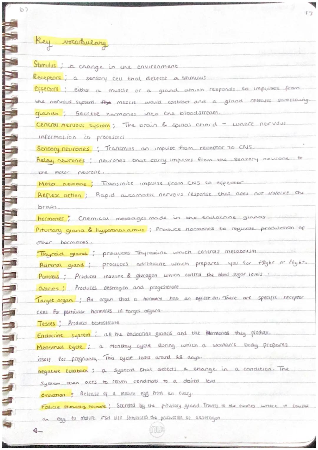 .
0
0
How does your body coordinate a response ?
Stimulus → Receptor (converts signal into electrical impuises) → sensory.
Sentral nervous s