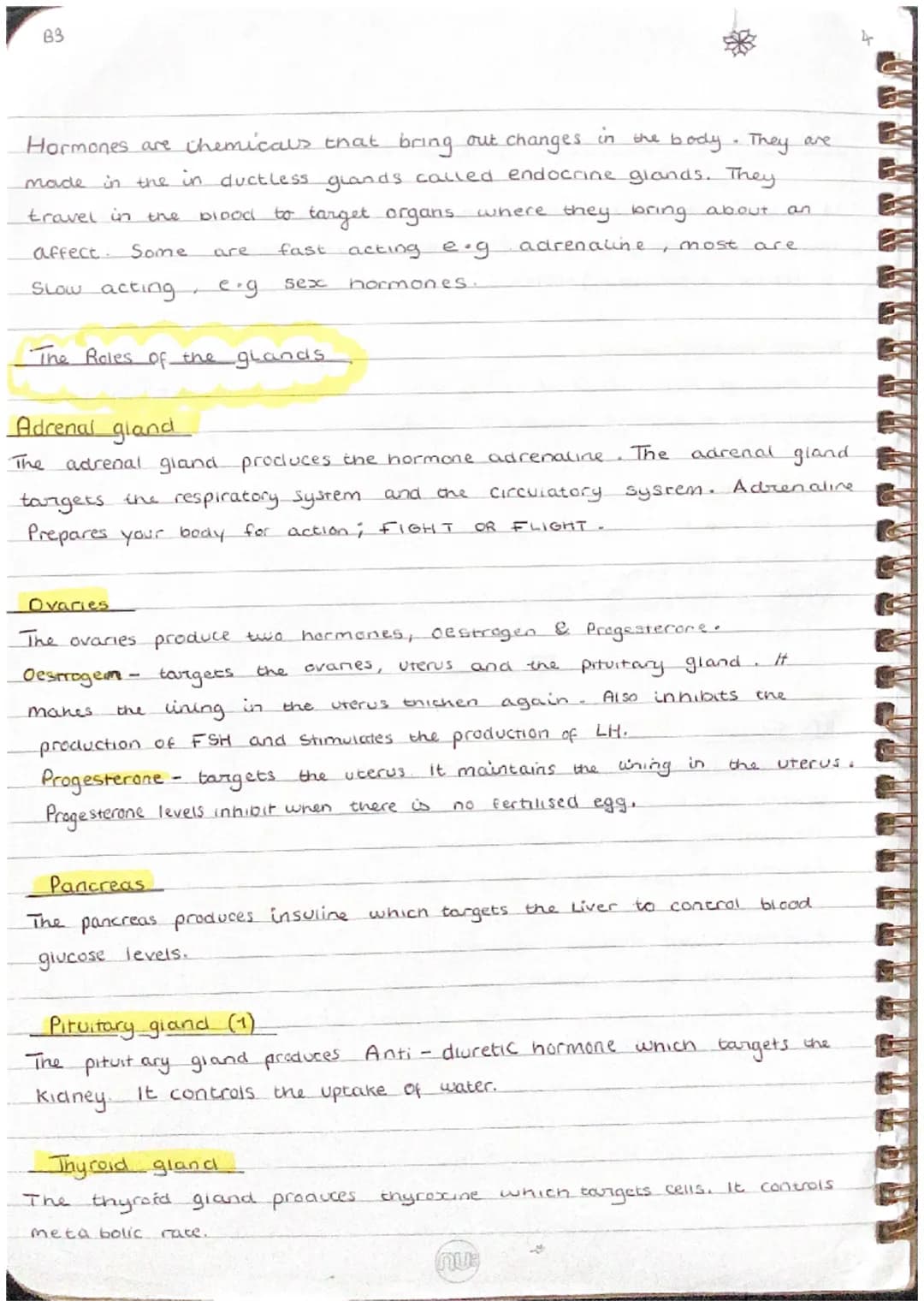 .
0
0
How does your body coordinate a response ?
Stimulus → Receptor (converts signal into electrical impuises) → sensory.
Sentral nervous s