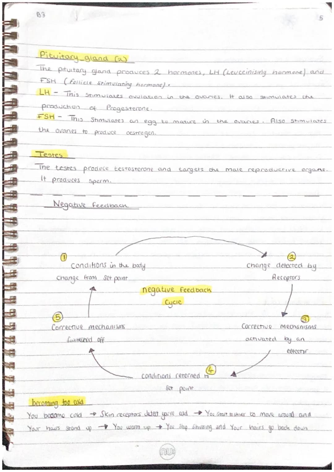 .
0
0
How does your body coordinate a response ?
Stimulus → Receptor (converts signal into electrical impuises) → sensory.
Sentral nervous s