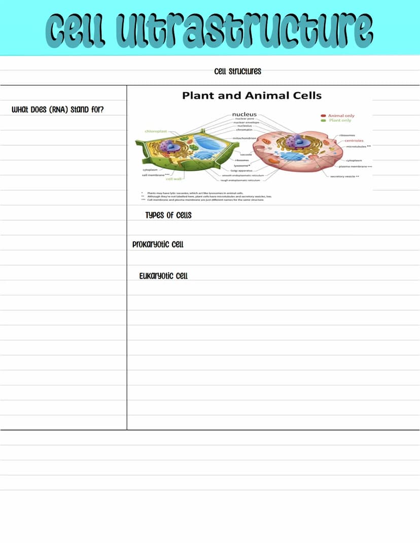 BIOLOGY cell ultrastructure
What Does (RNA) Stand for?
chloroplast
cytoplasm
cell membrane***
cell wall
Plant and Animal Cells
cell structur