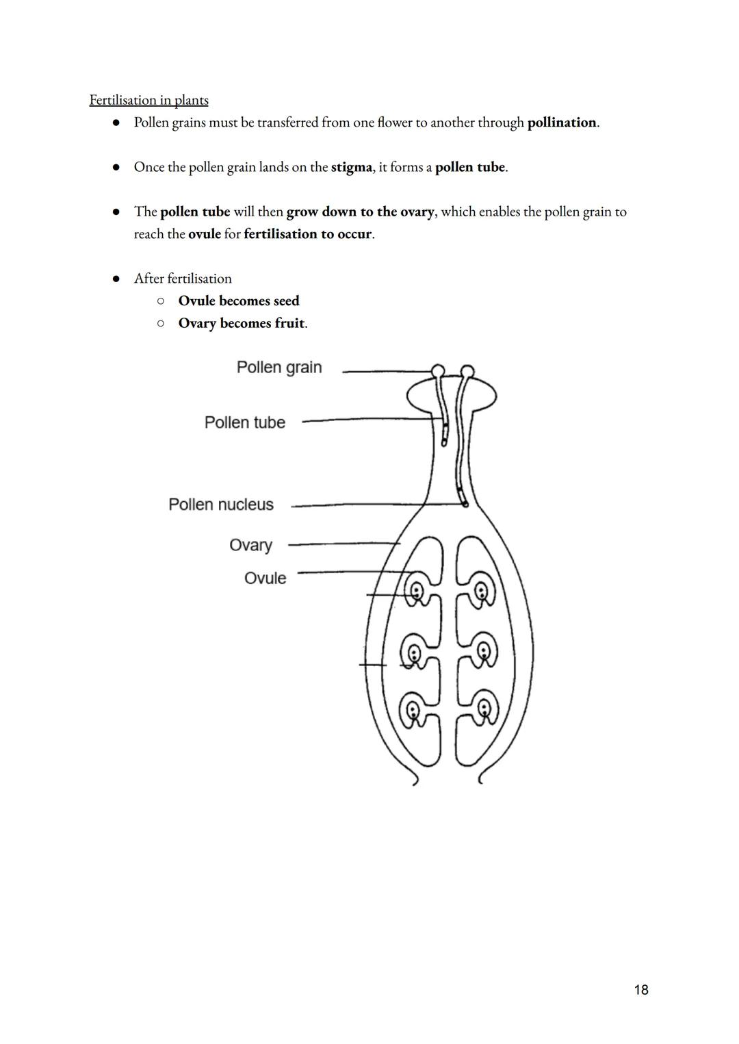 a. Cell Division
• Importance of Cell division
●
O Growth of multicellular organisms
O Repair of multicellular organisms
O Asexual reproduct