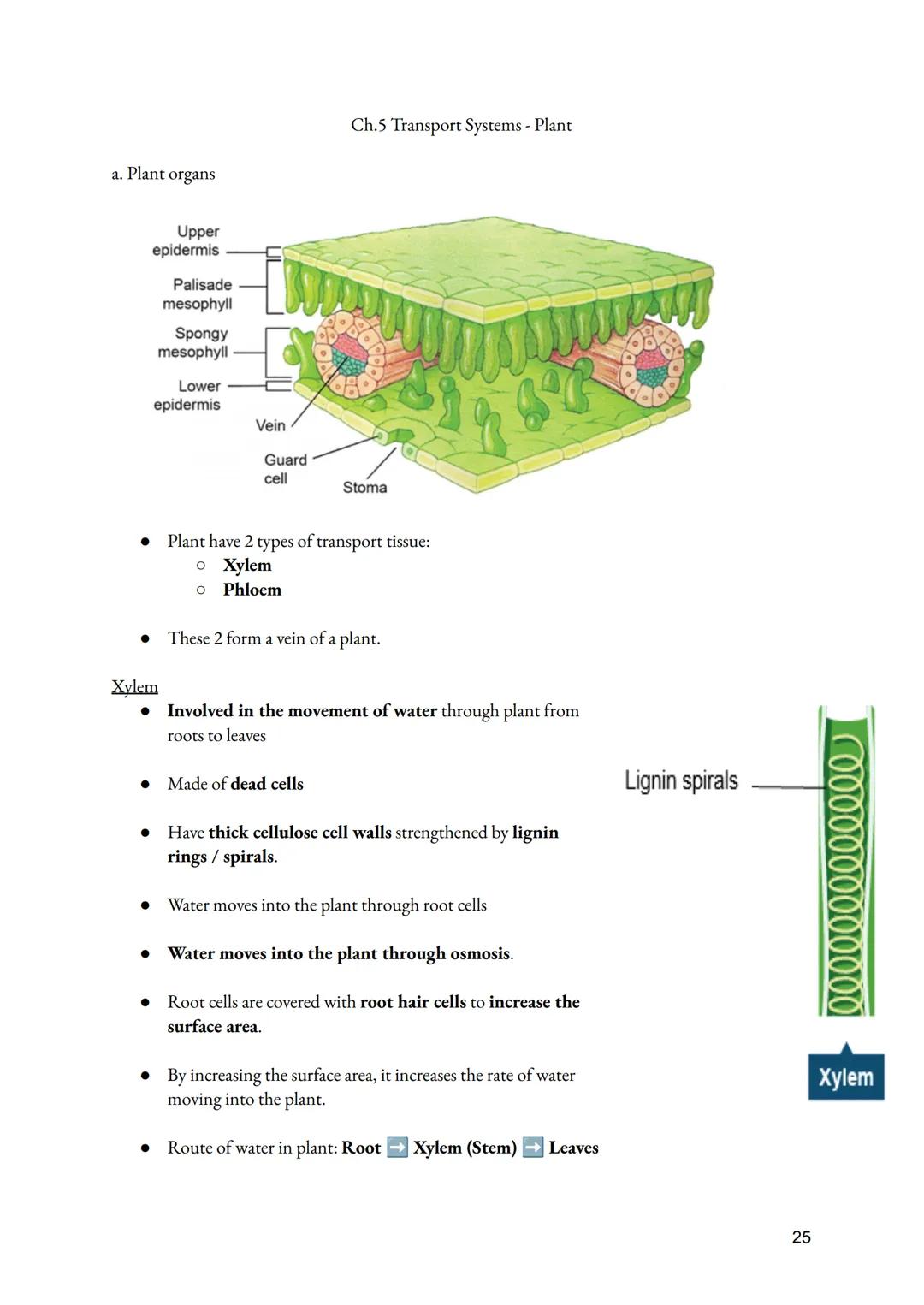 a. Cell Division
• Importance of Cell division
●
O Growth of multicellular organisms
O Repair of multicellular organisms
O Asexual reproduct