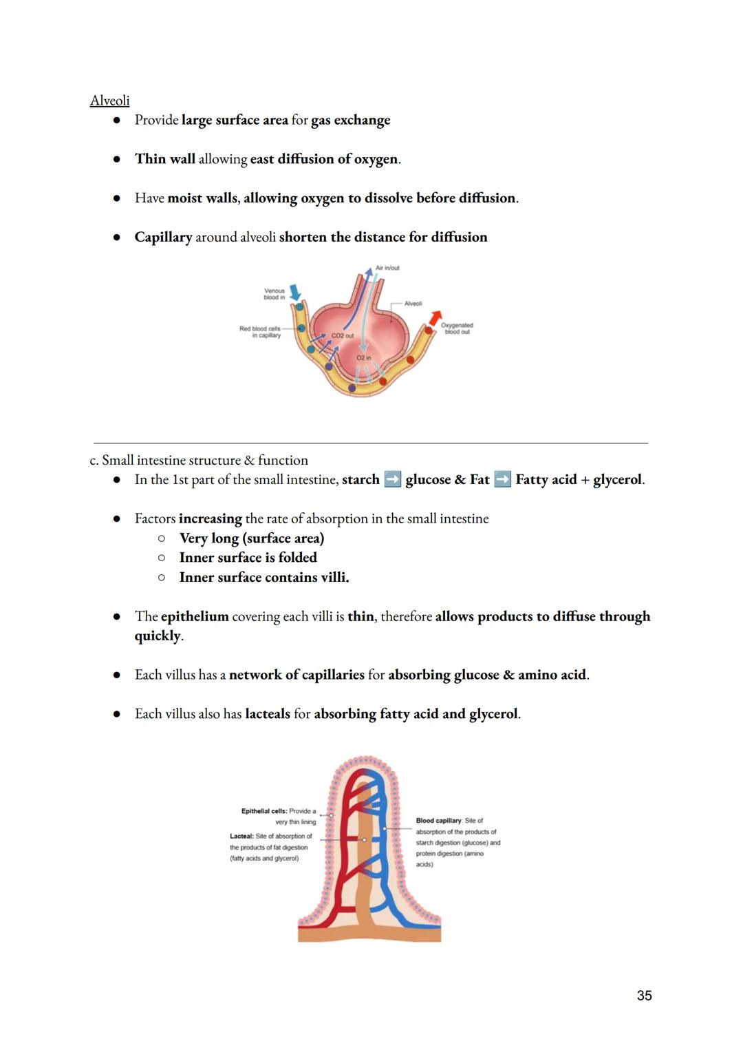 a. Cell Division
• Importance of Cell division
●
O Growth of multicellular organisms
O Repair of multicellular organisms
O Asexual reproduct