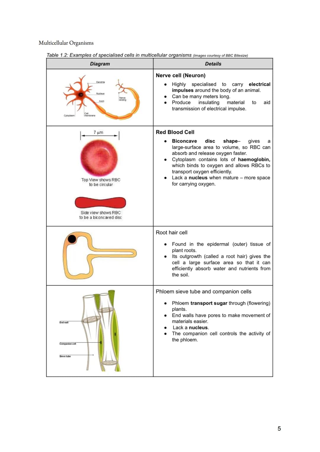 a. Cell Division
• Importance of Cell division
●
O Growth of multicellular organisms
O Repair of multicellular organisms
O Asexual reproduct