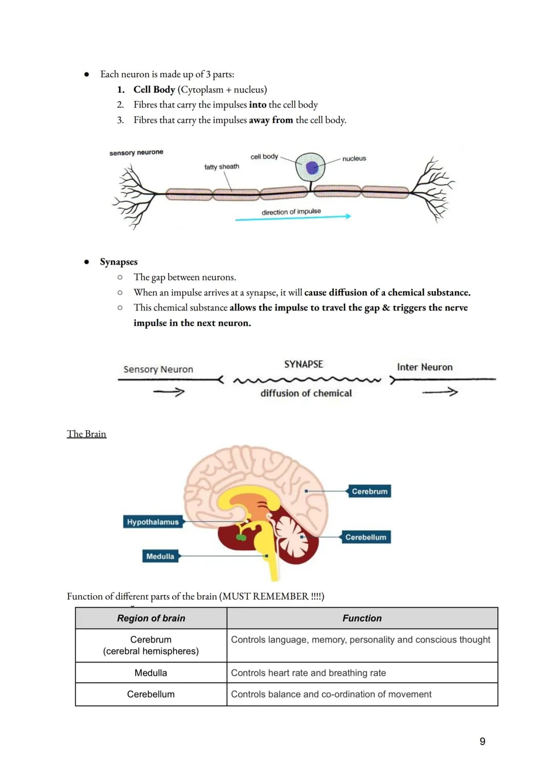 a. Cell Division
• Importance of Cell division
●
O Growth of multicellular organisms
O Repair of multicellular organisms
O Asexual reproduct