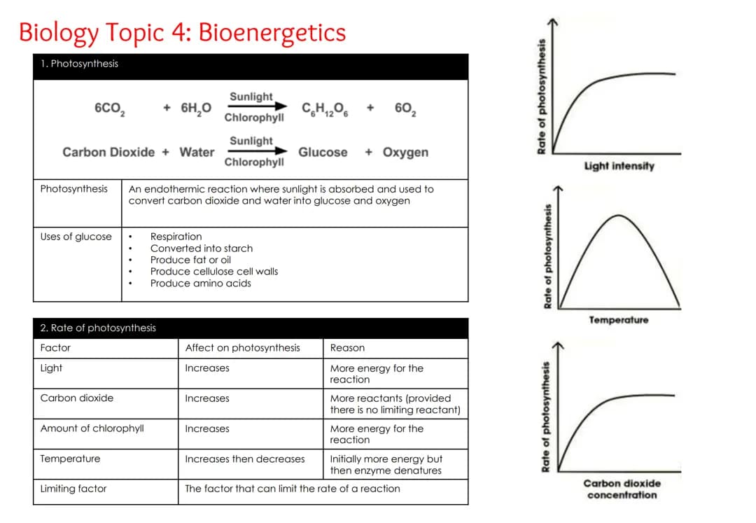 Bioenergetics, BIOLOGY